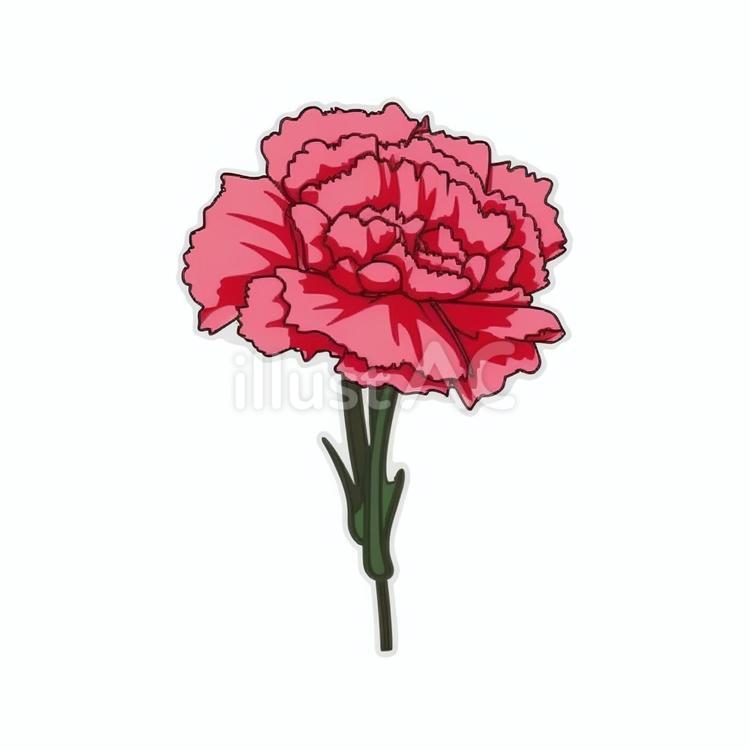 母の日のためのカーネーション 母の日,カーネーション,花のイラスト素材