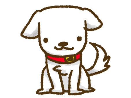 白い犬(おすわり) 白い犬(おすわり) 犬,動物,首輪のイラスト素材