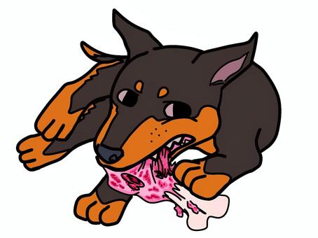 生の骨付き肉を食べているドーベルマン 動物,アニマル,哺乳類,デフォルメ,デフォルメイラスト,犬,ドーベルマン,イヌ科,ドッグ,捕食のイラスト素材