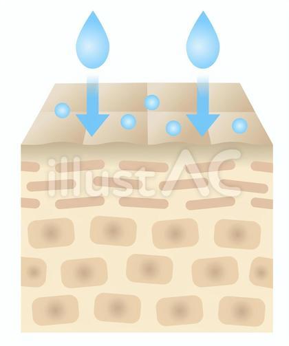 浸透力の低い肌 断面図