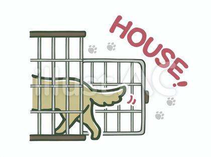 犬のしつけ(ケージへ)