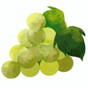Muscat, JPG and PNG Muscat, мускатный, питание, фрукты, JPG and PNG