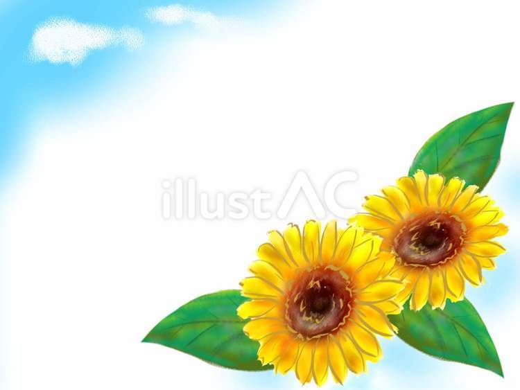 青空とヒマワリのフレーム ひまわり,花,青空のイラスト素材