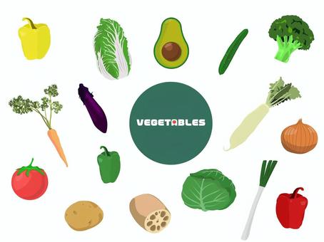 野菜セット 野菜セット 野菜,キャベツ,人参,大根,玉ねぎ,じゃがいも,アボカド,きゅうり,ブロッコリー,パプリカのイラスト素材