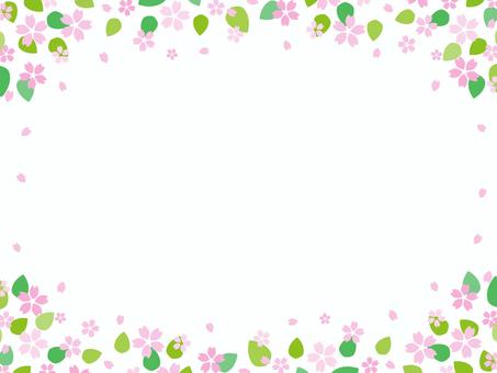 桜の花と花びらのフレーム、春のイラスト 桜の花と花びらのフレーム、春のイラスト 桜,春,背景,フレーム,見出し,花,さくら,枠,飾り枠,卒業のイラスト素材