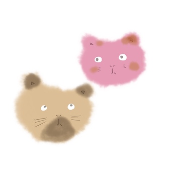 Two cats, gato, rosa, marrom, JPG