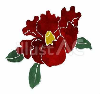 椿の花その1 白線 水彩風