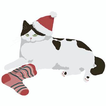 サンタ帽を被りクリスマスを心待ちにする猫 猫,白黒,動物,ペット,水彩,無料,挿絵,背景透過,png,jpegのイラスト素材