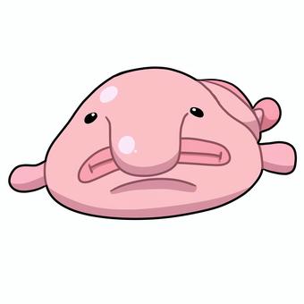 Illustration, blobfish, मछली, और प्यारा, 