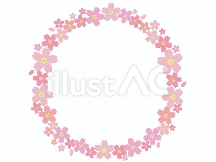桜　フレーム さくら,桜,フレームのイラスト素材