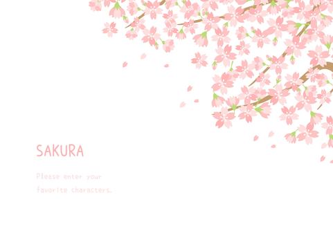 優しい桜の背景イラスト 桜,春,植物,背景,花,自然,ナチュラル,ほのぼの,ほんわか,かわいいのイラスト素材