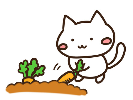 人参を収穫するかわいい農家白ねこ 人参,収穫,採る,体験,農家,ねこ,野菜,畑,仕事,農作業のイラスト素材