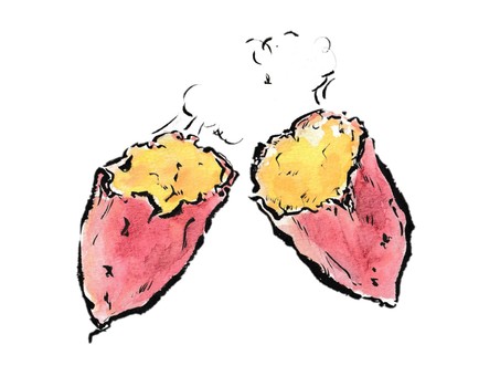 秋の味覚　ほくほくの焼き芋 焼き芋,さつまいも,食べ物,野菜,秋,10月,11月,おやつ,すいーつ,ほくほくのイラスト素材