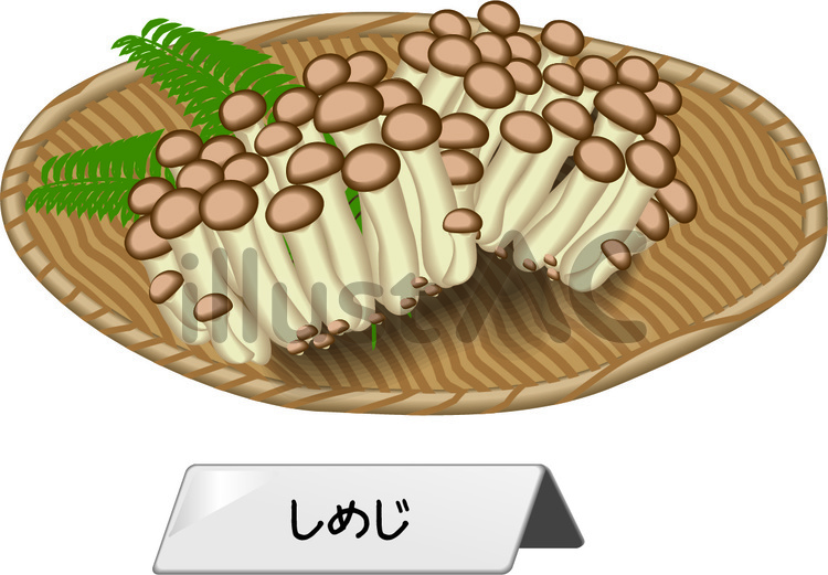 しめじ　キノコ　栽培　沢山　ザル　収穫 しめじ,キノコ,栽培のイラスト素材