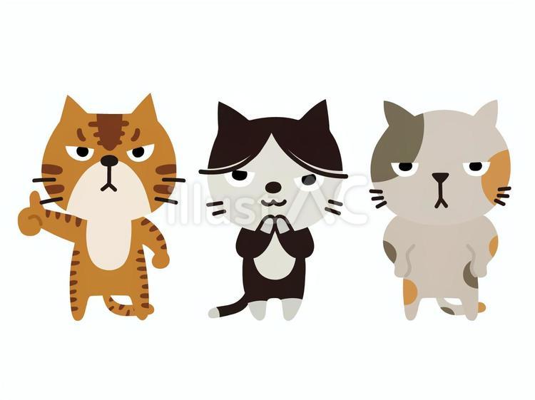 猫 猫,子猫,仔猫のイラスト素材
