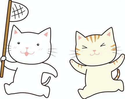 Illustration, cat, insect catching, play, 