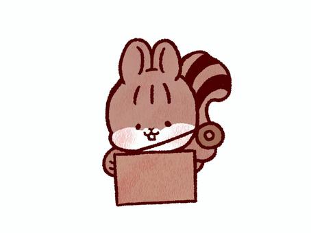梱包するリス リス,動物,生き物,梱包,発送,ダンボール,箱のイラスト素材