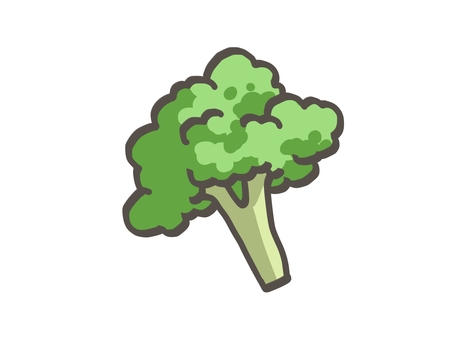 ブロッコリー ブロッコリー,カリフラワー,野菜,食べ物,食材,緑,食料,八百屋,農家,収穫のイラスト素材