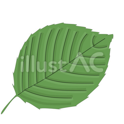 葉_Leaf
