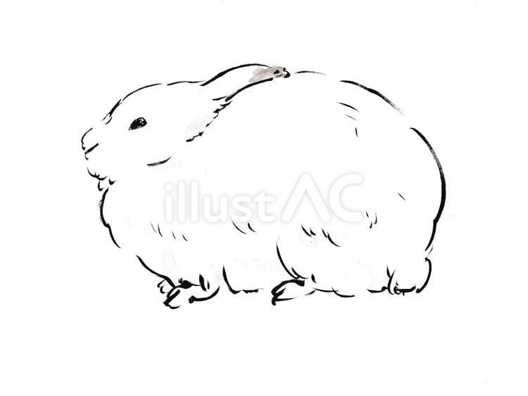 年賀状素材にもなる　横向きのうさぎ うさぎ,動物,年賀状のイラスト素材