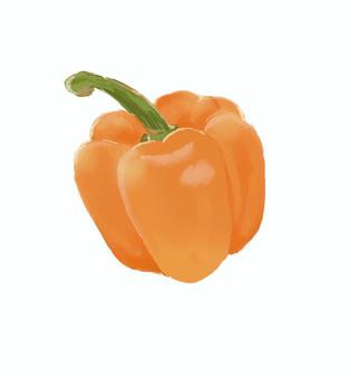 パプリカ 野菜,水彩,青果,農作物,食べ物,食育,手描き,サラダ,パプリカ,オレンジのイラスト素材