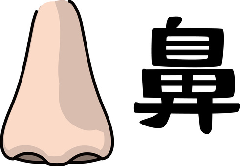 鼻　 鼻,顔,パーツ,穴,人物,シンプル,日本語,漢字,線画のイラスト素材