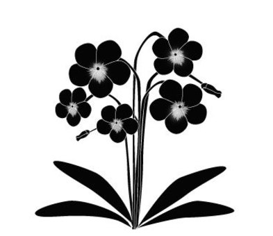 Illustration, violets, silhouette, fiore, 