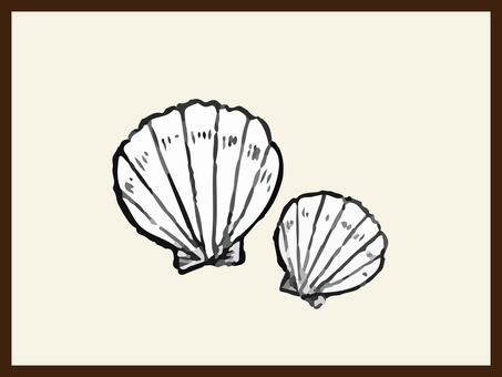 Seashell realistic illustration, JPG and AI Seashell realistic illustration, shell, real, line drawing, JPG and AI