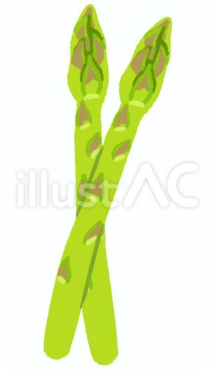 二本にクロスされた新鮮なアスパラガス アスパラガス,野菜,春のイラスト素材