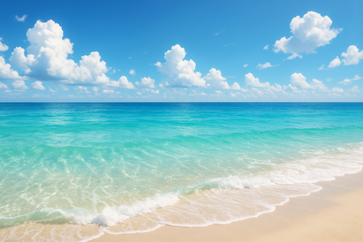 綺麗な海