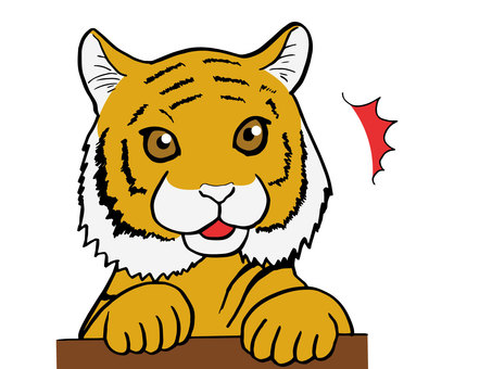 びっくりしているトラ 寅,寅年,とら,トラ,虎,干支,リアル,びっくり,驚き,かわいいのイラスト素材