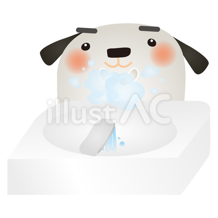 白犬手洗い 犬,手洗い,予防のイラスト素材