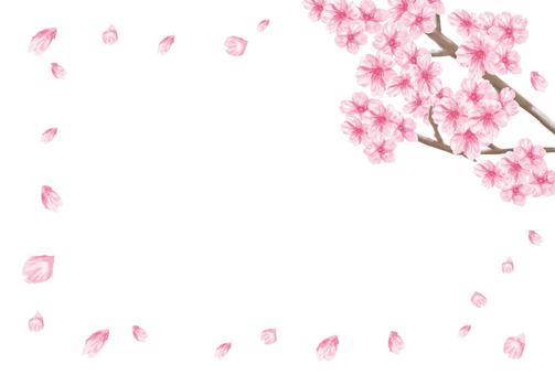 벚꽃 간단한 프레임 엽서 배경 일반, 벚꽃, 프레임, 봄, JPG 및 PNG