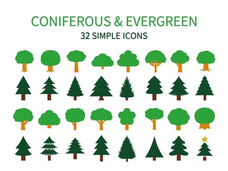 evergreens and conifers, JPG, PNG and EPS evergreens and conifers, kayu, plant, alam, JPG, PNG and EPS