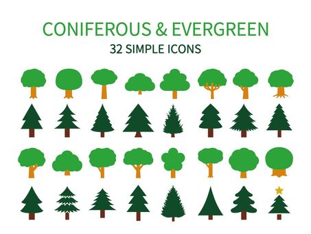 evergreens and conifers, drewno, zakład, naturalne, JPG, PNG and EPS