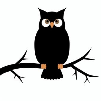 フクロウと枝 フクロウと枝 フクロウ,ミミズク,ハロウィン,ハロウィーン,黒い,鳥のイラスト素材
