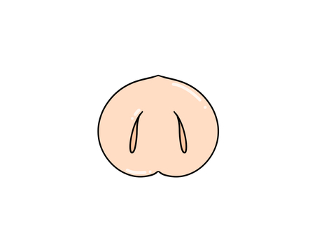 豚鼻 鼻,豚,器官,嗅覚,感覚器,識別のイラスト素材