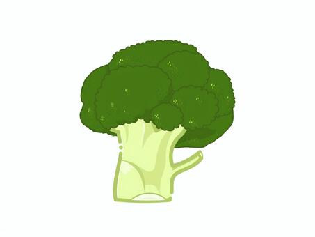 冬野菜のブロッコリー ブロッコリー,冬野菜,野菜,食材,食育,給食,学校プリント,おたより,料理,緑黄色野菜のイラスト素材