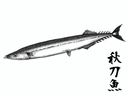 Illustration, sanma, animal, creatures, 