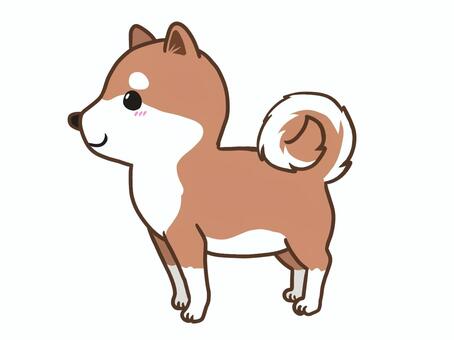 柴犬の横顔 犬,柴犬,赤柴,動物,ペット,愛犬のイラスト素材