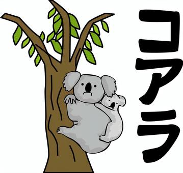 コアラ コアラ,哺乳,コアラ科,オーストラリア,かわいい,親子,文字,線画のイラスト素材