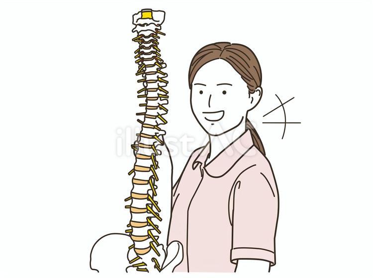 脊柱模型で説明する笑顔の整体師の女性 整体師,カイロプラクター,整骨院のイラスト素材