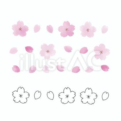 桜の花 ライン