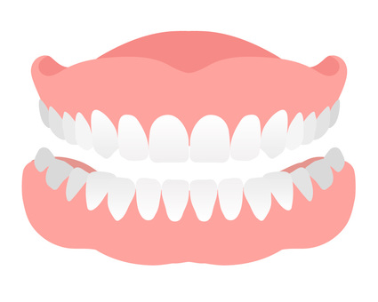 Front of dentures (complete dentures) Front of dentures (complete dentures)