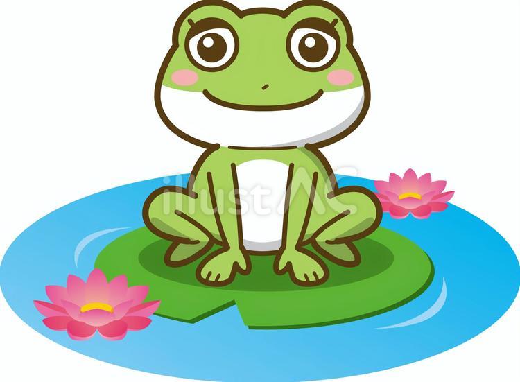 水面蛙様 リクエスト 3点 まとめ商品（水面蛙様 リクエスト 3点