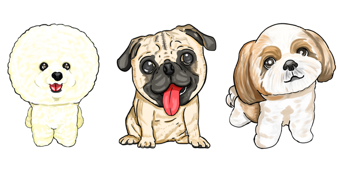 Illustration, bichon frize, बंदर, शिह जू, 