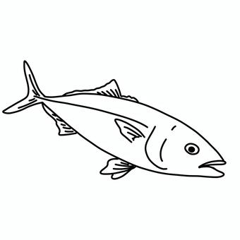 ワカシ ワカシ,ブリ,カンパチ,マグロ,魚,釣り,シンプル,白黒,モノクロ,線画のイラスト素材