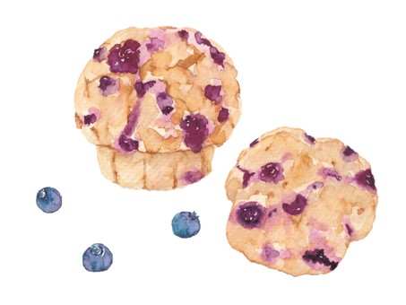 水彩で描いたベリーマフィンとブルーベリー マフィン,ブルーベリーマフィン,ブルーベリー,ベリー,水彩,水彩画,手描き,ベリーマフィン,お菓子,おやつのイラスト素材