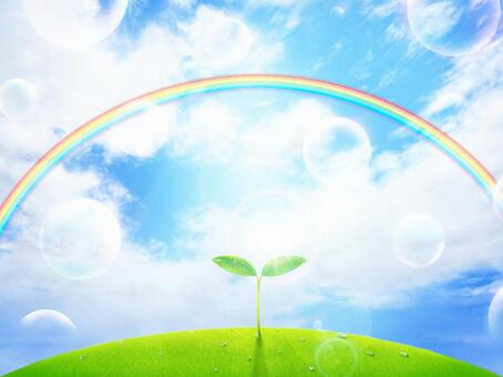 Soap bubbles, Futaba, Turf, Sun, Rainbow, Frame, الكتل الصابون, توهج, أخضر, JPG