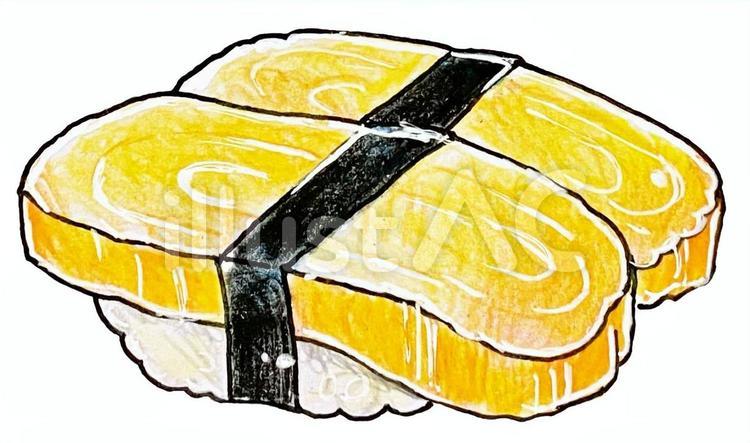 卵寿司 卵寿司,にぎり寿司,卵焼きのイラスト素材